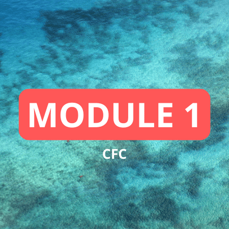 MODULE 1 CFC -AUDIT DE LA SITUATION JURIDIQUE DES PERSONNES ET DES BIENS ET « STRATEGIES PATRIMONIALES CIVILES »